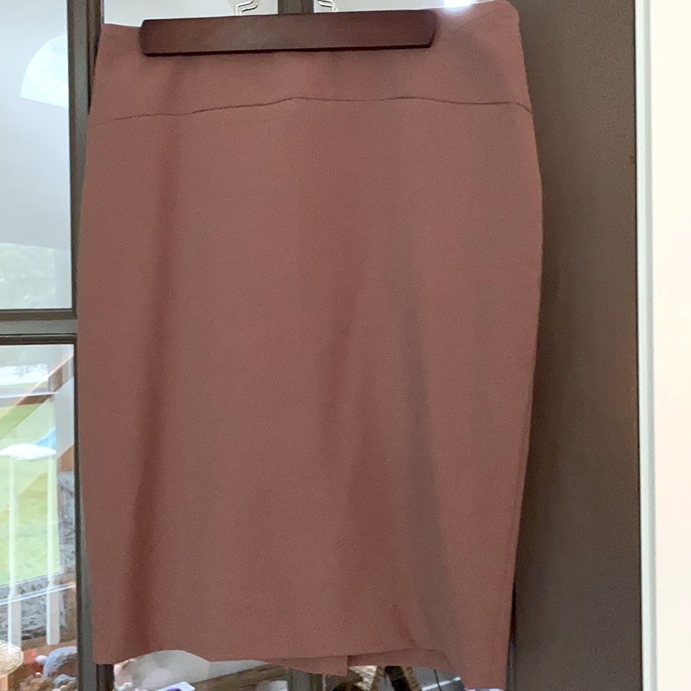 The Limited size 0 skirt. Mauve color.